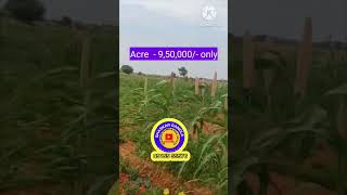 20 Acres Agriculture land for sale  Hindupur 30km  Puttaparthi district  Madakasira [upl. by Torhert941]