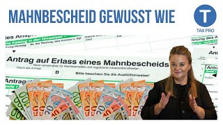 SCHULDEN EINTREIBEN 2 So gehts OHNE ANWALT mit Mahnbescheid Tutorial [upl. by Avat293]