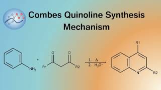 Combes Quinoline Synthesis Mechanism  Organic Chemistry [upl. by Slinkman]