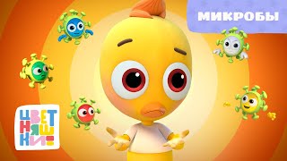 Цветняшки  Микробы  Песенка для детей  Музыка из мультфильма [upl. by Nwahser]