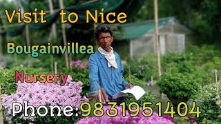 Nursery video ll The green life nursery visit ll Prop Subal Gayen ll Muchisha Umedpur gardening [upl. by Beale772]