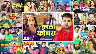 Mix Hit Songs Of bhojpuri  Chandan Chanchal  Golu Gold  Shilpi Raj  Bhojpuri Songs 2024 [upl. by Narik]