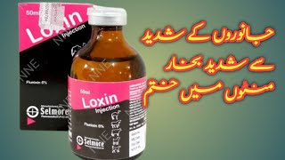 LOXIN Flunixin maglumine  NSAID analgesic use in animals urdu hindi [upl. by Melba468]