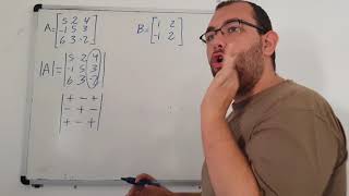 Determinantes 2x2 3x3 Método de cofactores  Algebra lineal Universidad Video 86 [upl. by Redford]