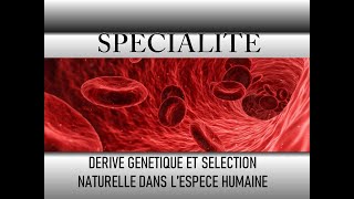 Dérive génétique et sélection naturelle  SVT  Terminale  Les Bons Profs [upl. by Ainahpets386]