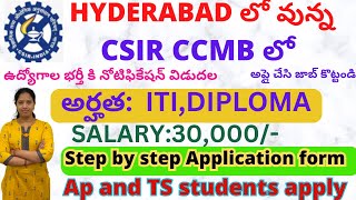 CCMB Hyderabad recruitment 2024  CCMB Recruitment notification 2024  CCMB Latest JOBS  CCMB [upl. by Wing]