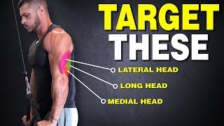 The ONLY 3 Triceps Exercises You Need for Mass [upl. by Bil995]