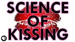 The Science of Kissing [upl. by Petie]