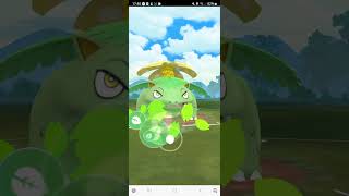 Shinyâś¨ď¸ŹVenusaurđźŤMandybuzzđź¦…Porygon Zđź¤– [upl. by Gamal]