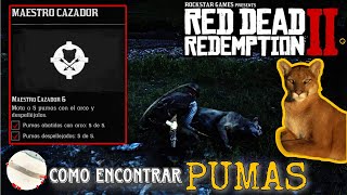 ¿Donde cazar PUMAS en Red Dead Redemption 2 Maestro Cazador 6 [upl. by Atarman]