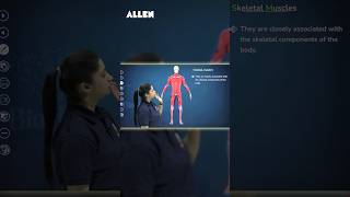 Skeletal Muscle Structure amp Function  Striated Muscles Explained  Locomotion amp Movement neet2025 [upl. by Ellenhoj435]