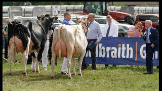 Ayr Show 2024 Dairy Interbreed ClassHolstein Clydeview Sidekick Matilda vs Ayrshire Morwick Peggy [upl. by Queston]