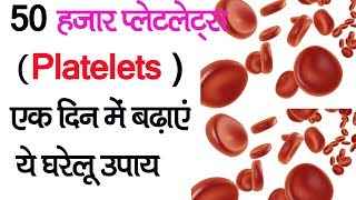 खून में प्लेट बढ़ाने का घरेलू नुस्खा  how to increase blood platelets in hindi [upl. by Stuppy]