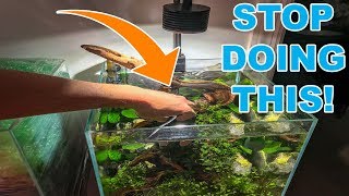 BIGGEST TIP FOR NEW AQUARIUM PLANTS [upl. by Swaine]