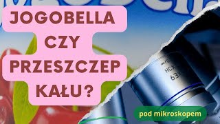 Jogobella czy przeszczep kału [upl. by Selokcin]