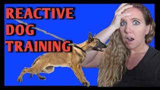 How to Train a Reactive Dog on Leash tutorial [upl. by Viridissa383]