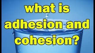 What is Adhesion and Cohesion forces in hindi  Explain Adhesion and Cohesion Forces [upl. by Baum528]