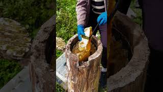 Raw honeycomb pulling process goodtools smartwork [upl. by Ylremik]