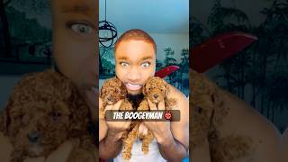 The Boogeyman 😈 puppy poodle shortsviral transition pov [upl. by Horace50]