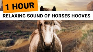 Relaxing Sounds of Horses Hooves 1 Hour 🎧 clip clop ambience for sleep relaxation meditation [upl. by Cozmo732]