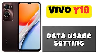 Vivo Y18 Check Wifi and Data Usage  Data usage setting  How to check daily data usage [upl. by Viviyan990]