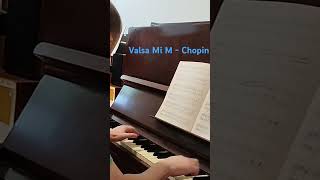 Piano Brasil pianotuning piano chopin pianist [upl. by Yatnod]