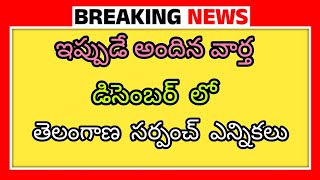 election డిసెంబర్ లో తెలంగాణ సర్పంచ్ ఎన్నికలుDecember new cerpunch electionsTg News [upl. by Gallenz]