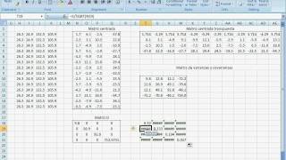 Matriz de correlaciones Correlation matrix [upl. by Ailuig]