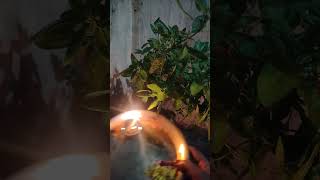 Ekadashi ke din Tulsi tere aana tere Ishq aniruddh Aacharya Ji ki katha meintrending viralvideo [upl. by Mabel291]