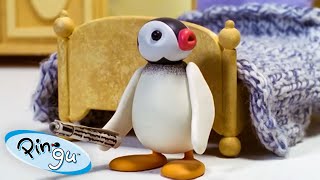 All About Pinga 🐧  Pingu  Official Channel  Cartoons For Kids [upl. by Colwin]