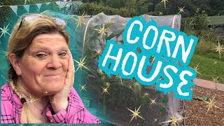 How to build a basic corn house [upl. by Nirre]