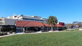 Day racing at Moonee Valley racecourse 🐎 [upl. by Ludovika]