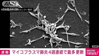 マイコプラズマ肺炎 4週連続で過去最多を更新 全国の患者数「201人」2024年10月29日 [upl. by Eenal]