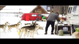 Schlittenhunderennen in Werfenweng [upl. by Aenehs]