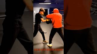 Alex Lee Training System Boxing Practice [upl. by Sabra924]