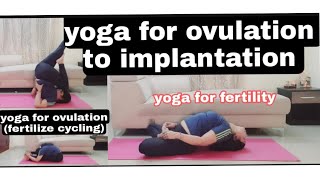 yoga for ovulation to implantation 19 yogasan to improve fertility yogasanforconceive [upl. by Hicks825]