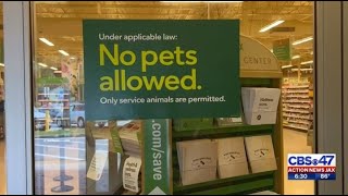 Publix Cracks Down on No Pet Policy [upl. by Adyl254]