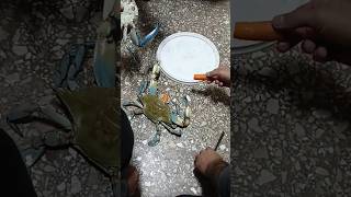 🦀CANGREJOS COCINEROS👨🏽‍🍳 parte 1🪧 cangrejos cangrejeros cangrejo pesca pescador [upl. by Rodriguez]