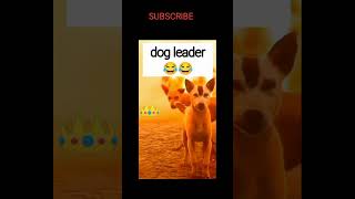 Dog attack 😂😂 funny trending funny ytshorts funnymemes [upl. by Anitsrhc]