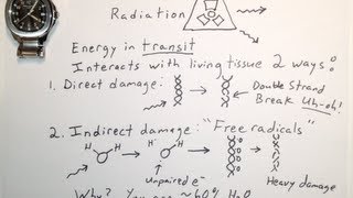 Two Ways Ionizing Radiation Damages DNA  One Minute Medical School [upl. by Seugram976]