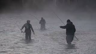 Salmon fishing 2024  The video was filmed at Salmon River NY salmonrun [upl. by Ripp]