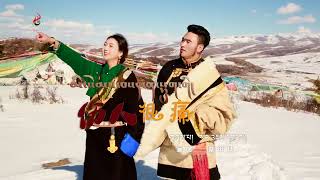 New Tibetan song 2022 ࿉ བོད་གཞས་གསར་པ་༢༠༢༢༼མི་སེམས་བསད་ན་སྡུག་གི།༽གཞས་པ། སངས་འཇམ་དབྱངས། ࿉ Jamyang [upl. by Islehc]