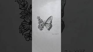 How to Draw Butterflies and Flowers  Creative Pencil Sketch ShortsIsmatAraArtGallery [upl. by Aidile]