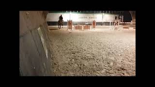 training 6yo je taime jf [upl. by Suoirrad]