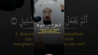 Surah Al Feel Best tilawat quran and beautiful voice [upl. by Ramahs]