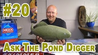 Recycling Pond Water How Long to Quarantine amp Dedicated vs EcoSystem Ponds  Ask TPD Show 20 [upl. by Eenahc201]