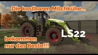 LS22  mein Milchviehbetrieb auf der Bantikow  Farming Simulator de [upl. by Bashemath814]