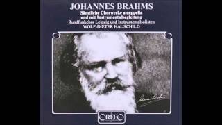 Brahms Waldesnacht du wunderkuhle from Heyses Jungbrunnen [upl. by Bigg]