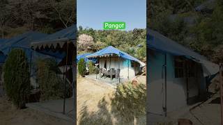 pangot camping nainital nature [upl. by Luigi]