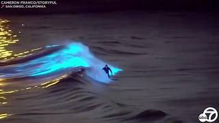 Bioluminescent waves Surfers ride glowing waters off San Clemente San Diego coasts  ABC7 [upl. by Lanti810]